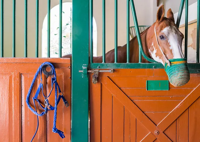 Melia Desert Palm Member Of Melia Collection Dubai